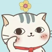 博主头像